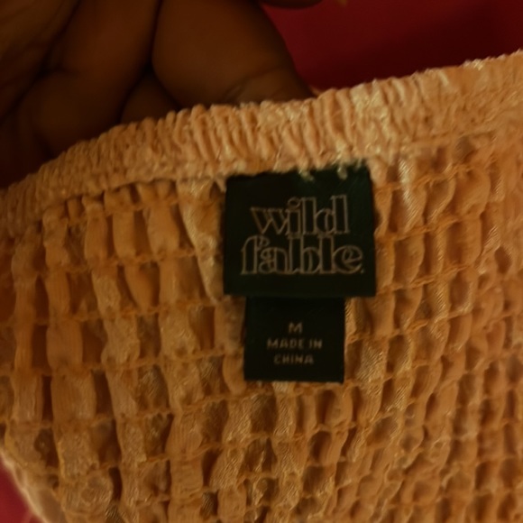 This is a wild fable corset top. From target. Absolutely love it with cute jeans - Picture 3 of 3